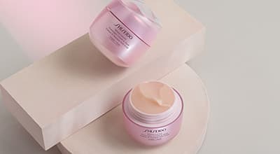 Leke Giderici & Önleyici Bakım