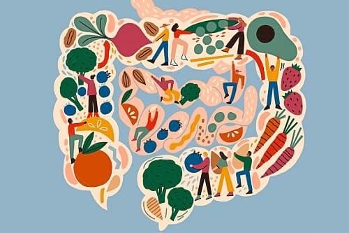 BAĞIRSAK VE CİLT SAĞLIĞI ARASINDAKİ BAĞLANTI MERCEK ALTINDA