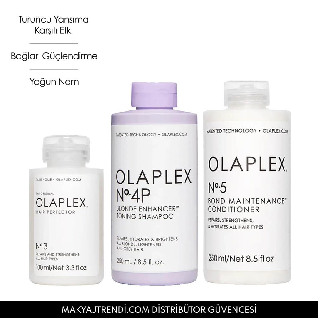 THE BLONDE MAINTENANCE SYSTEM