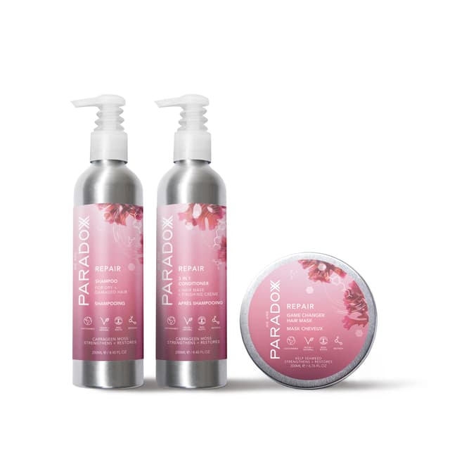 REPAIR YOUR HAIR KIT