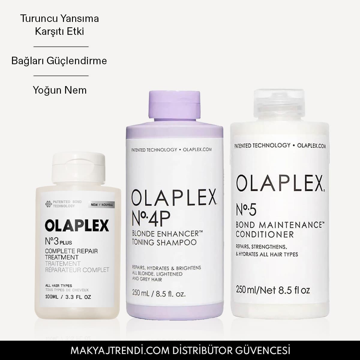 THE BLONDE MAINTENANCE SYSTEM