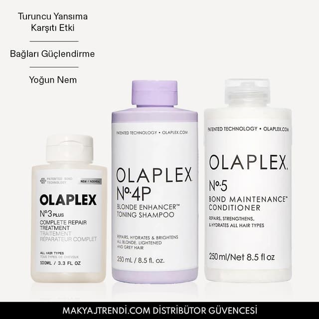 THE BLONDE MAINTENANCE SYSTEM